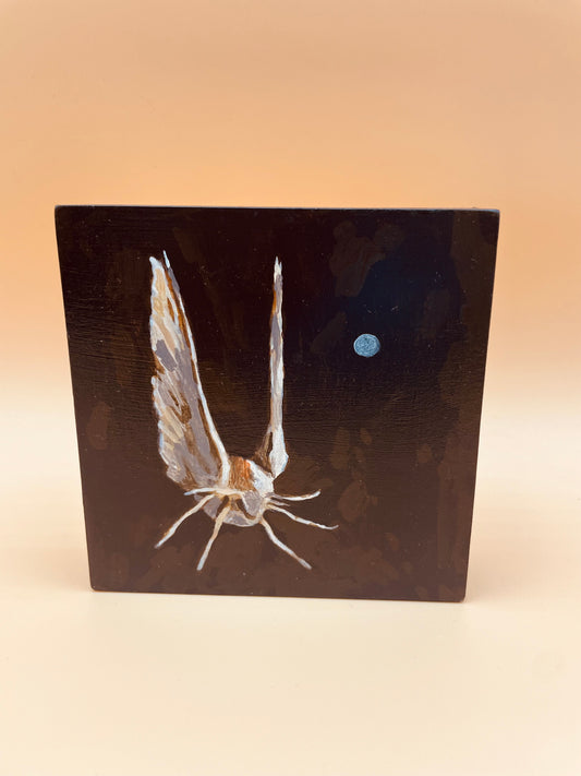 Moonmoth 1